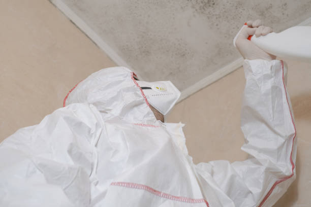 Best Attic Mold Removal  in Rosemont, PA